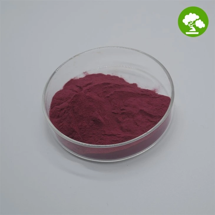 100% Pure Beetroot Powder suppliers