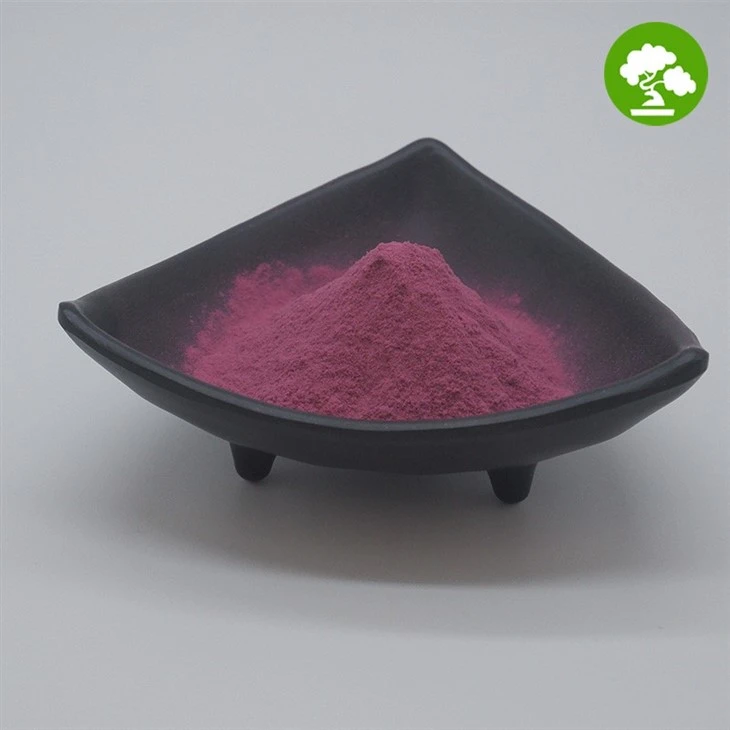 Cranberry Fruit Powder suppliers