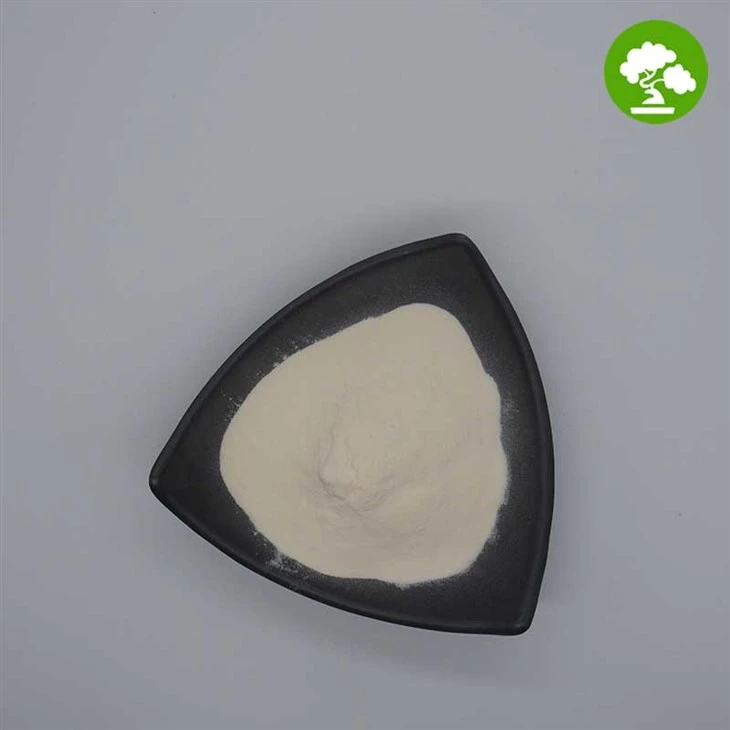 Garlic Extract Allicin Powder