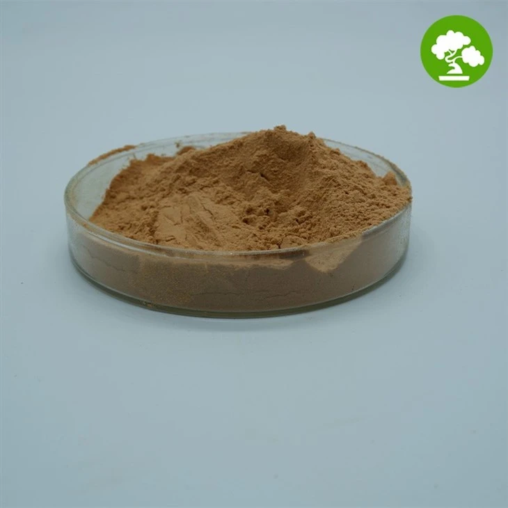 Hawthorn Fruit Powder suppliers