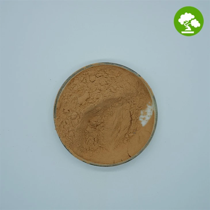 Hawthorn Fruit Powder