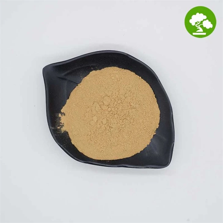 Horse Chestnut Extract Powder