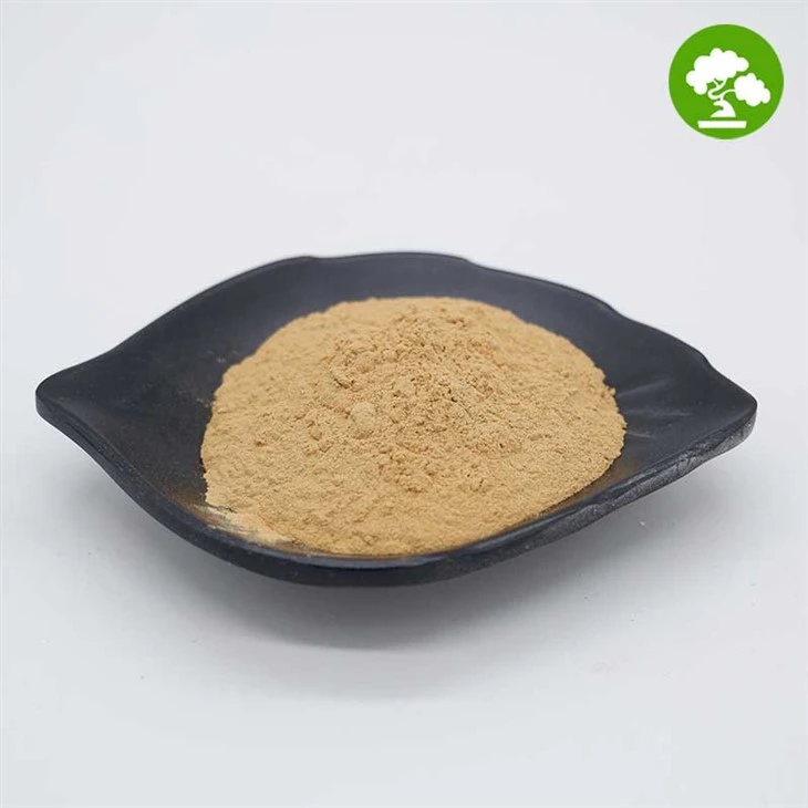 Motherwort Extract Powder