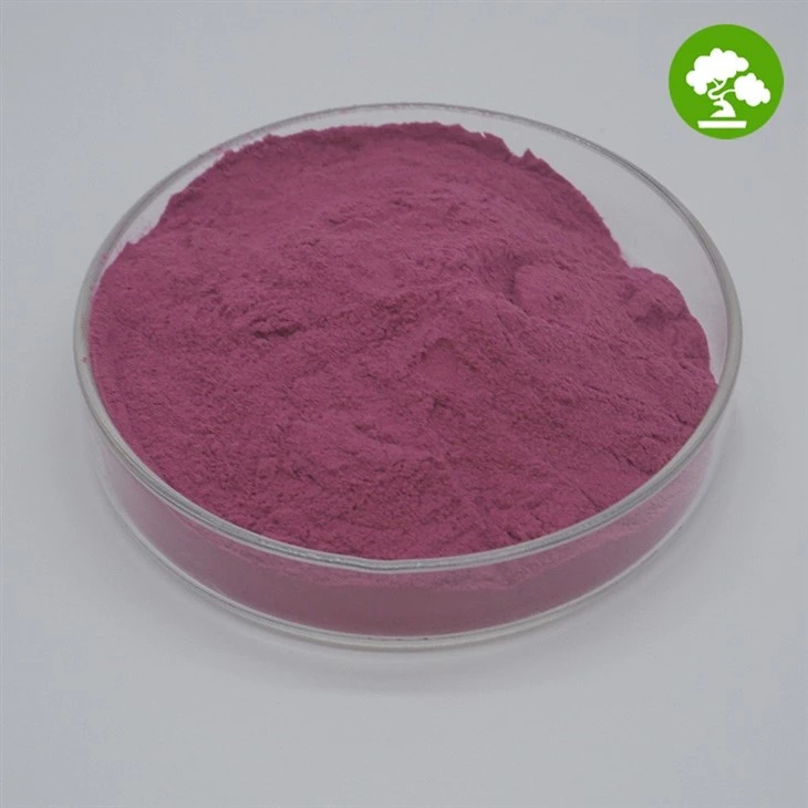 Organic Blackberry Powder suppliers