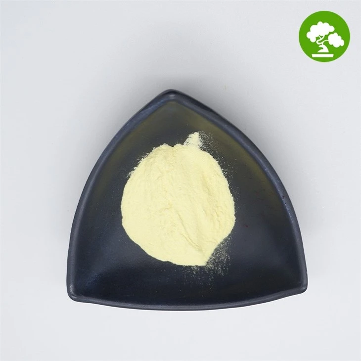 Organic Honeydew Melon Powder suppliers