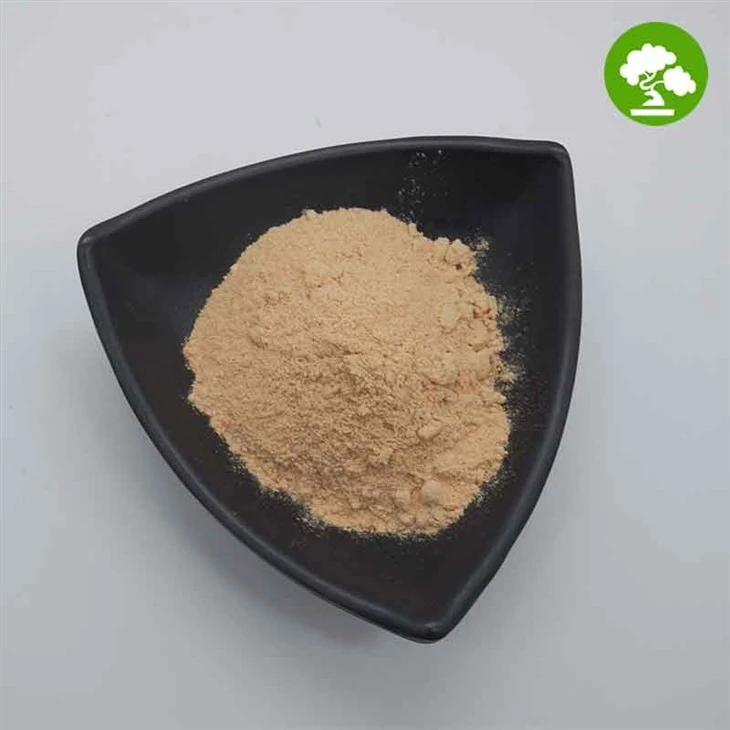 Phellinus Igniarius Extract 30%Polysaccharide suppliers