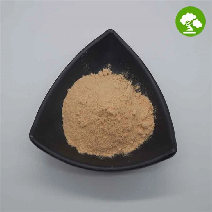 Phellinus Igniarius Extract 30%Polysaccharide