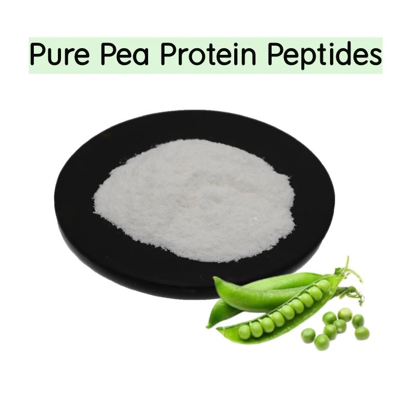 product-800-800 product-800-800
