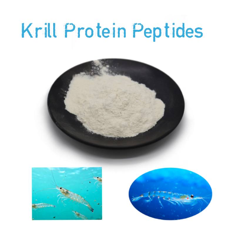 product-800-800 product-800-800