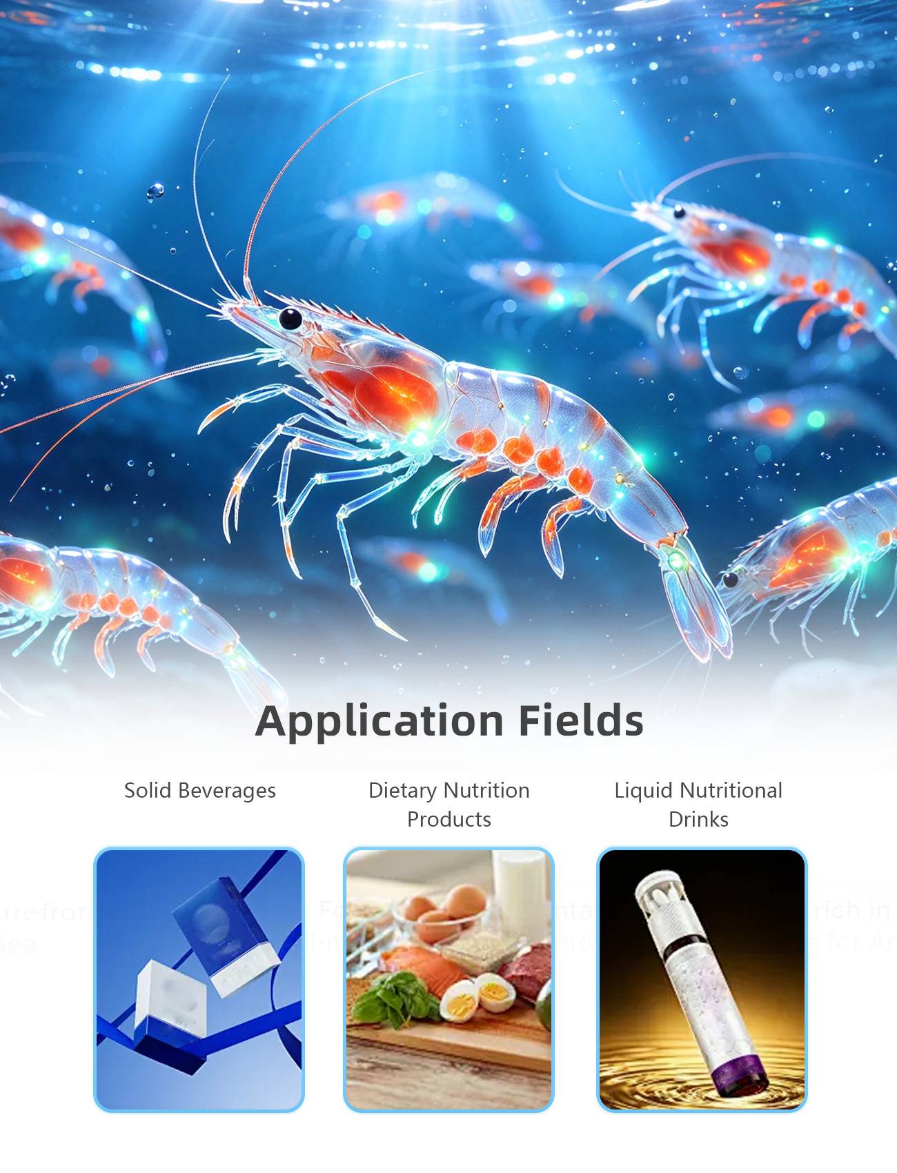 product-1300-1700 product-1300-1700
