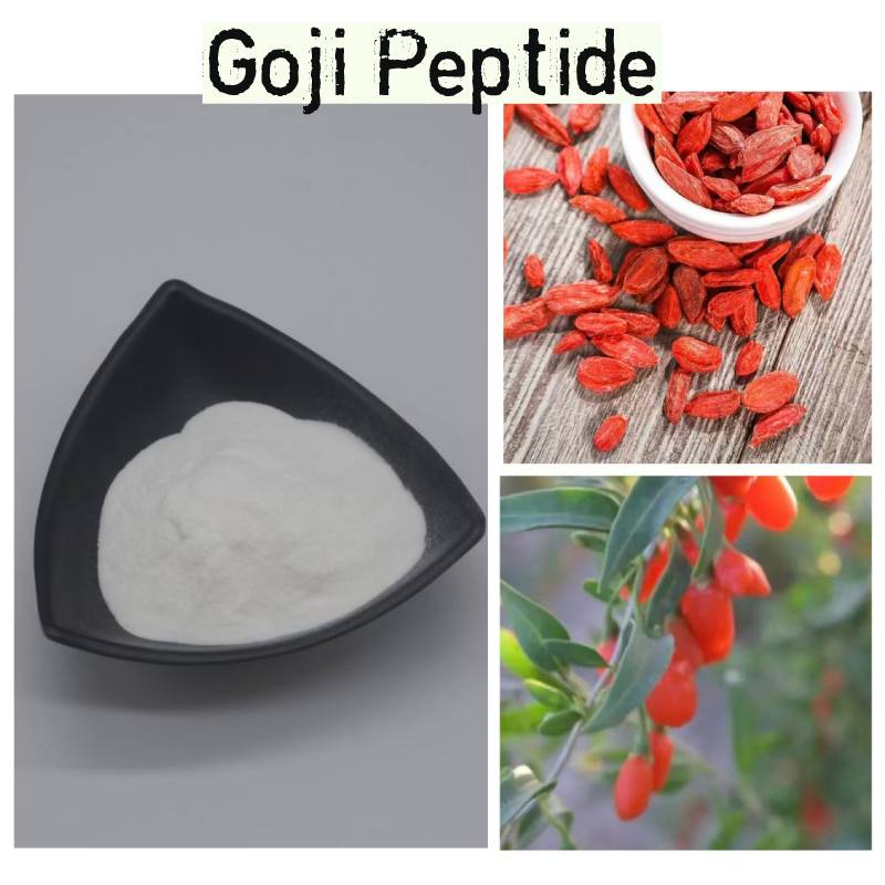product-800-800