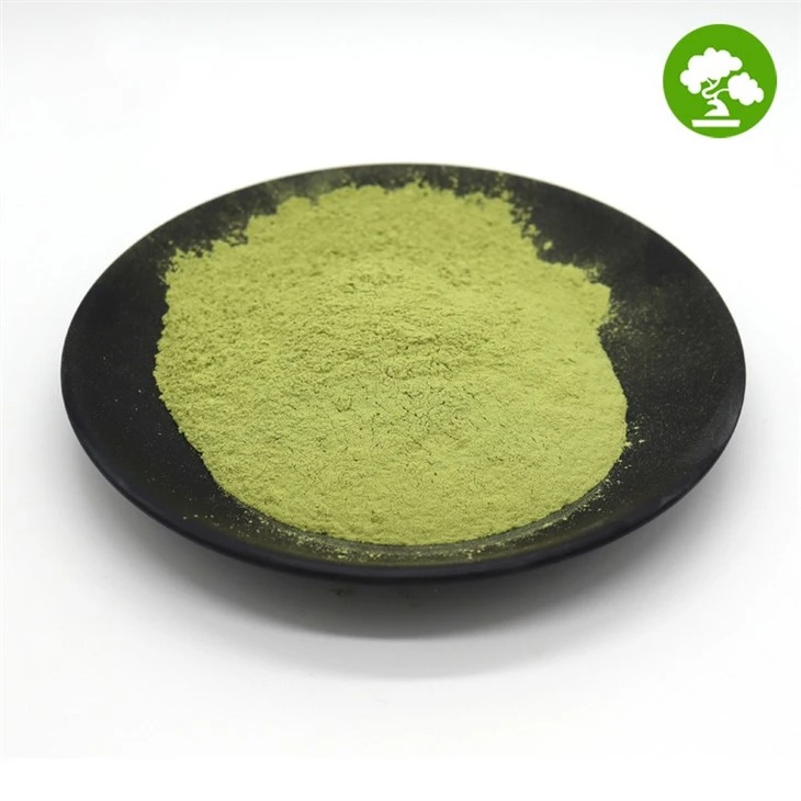 Pure Cucumber Powder suppliers