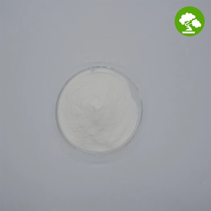 Pure Lactic Acid Powder