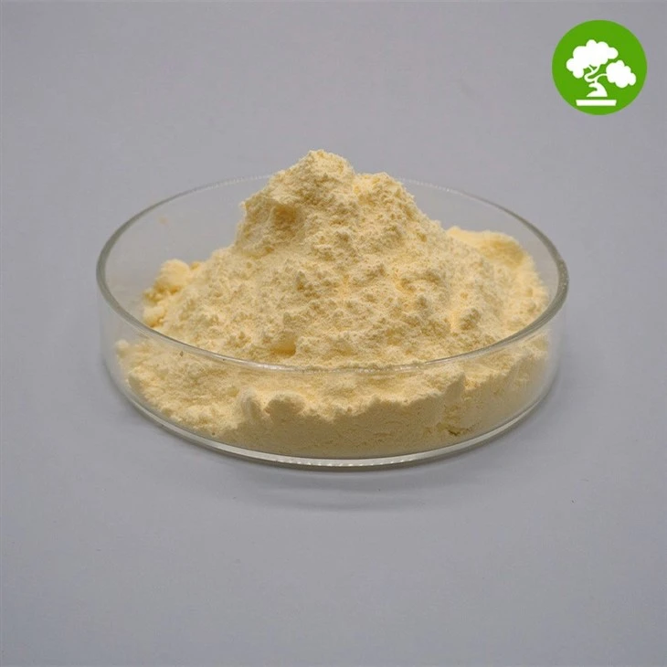 Pure Rose Hip Powder suppliers