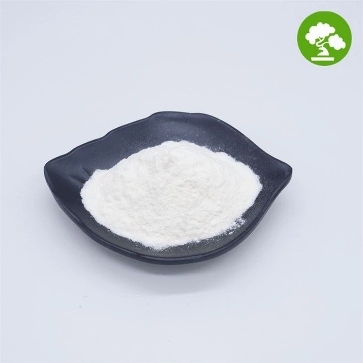 Pure Zinc PCA Powder