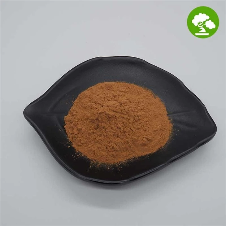 Salix Alba Extract Powder suppliers