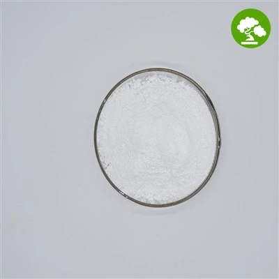 Calcium Silicate Powder