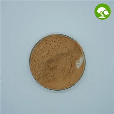 Hawthorn Fruit Powder