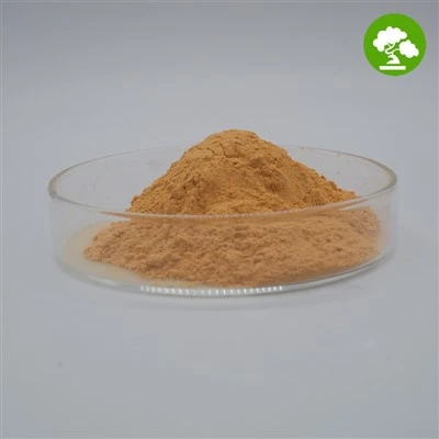 Diosmin Powder