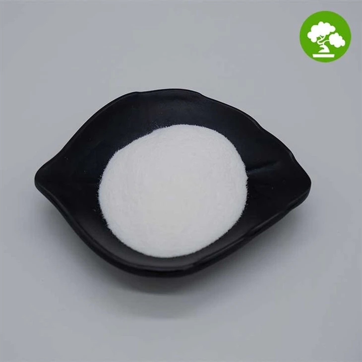 Sodium Lactate Powder suppliers