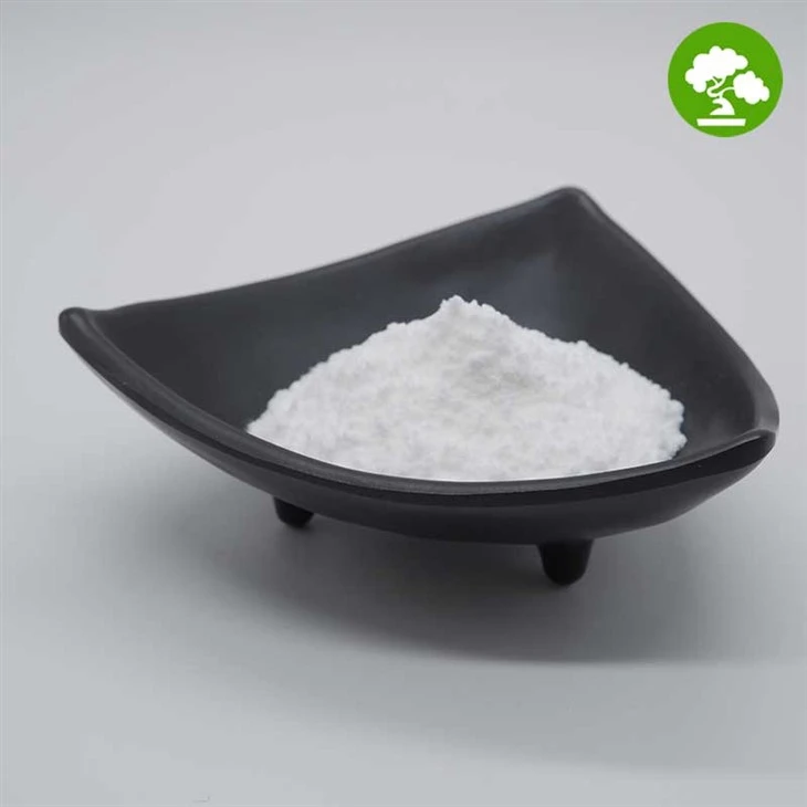 White Kidney Bean Plant Extract Powder